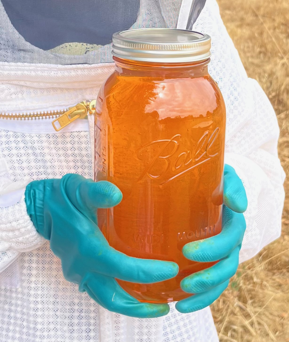 First honey harvest