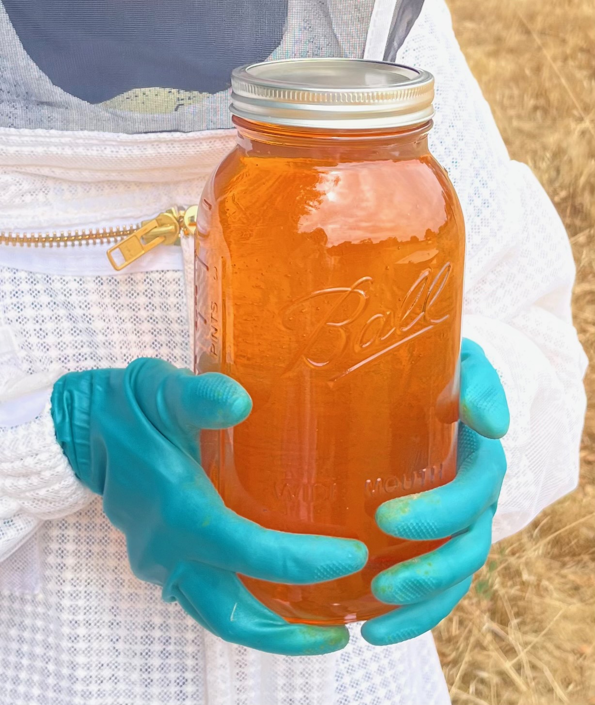 First Honey Harvest First honey harvest