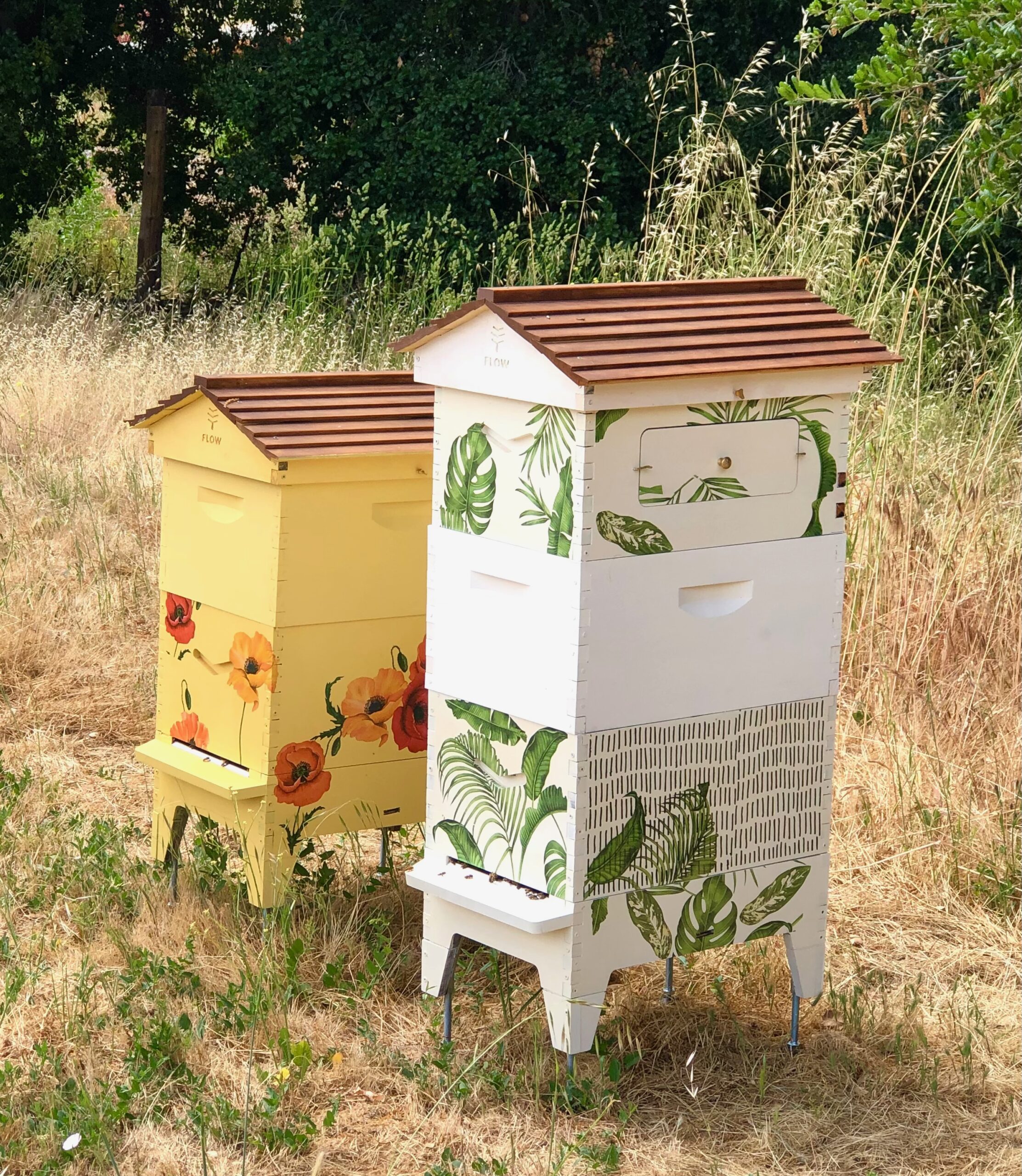 Phil's Catering bee hives in San Luis Obispo County Honey bee hives